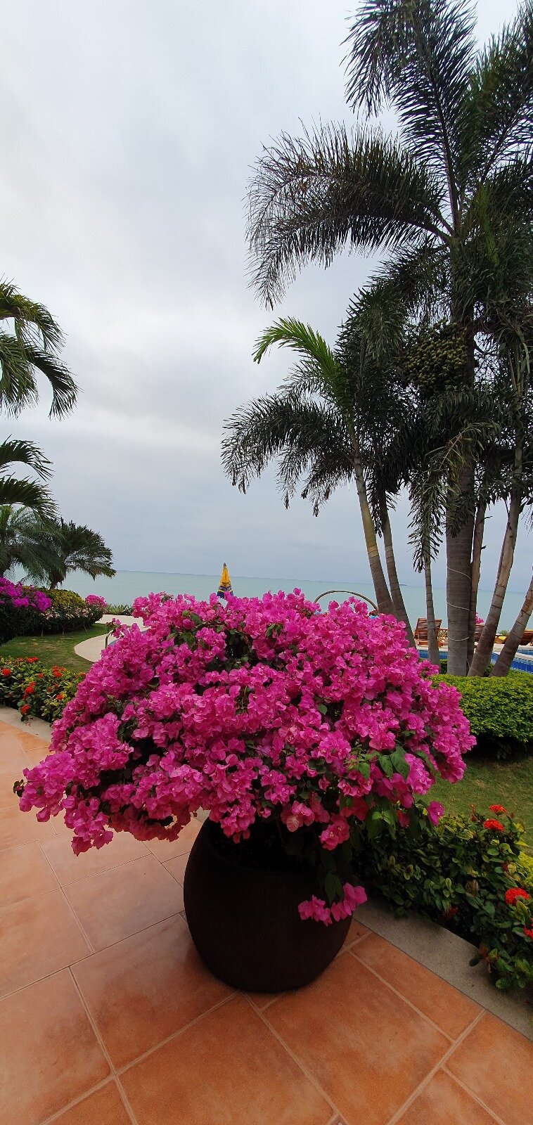 Playa Canela Hotel Boutique-泳池