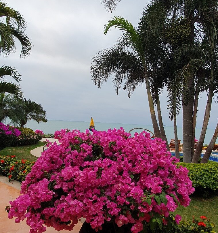 Playa Canela Hotel Boutique主图