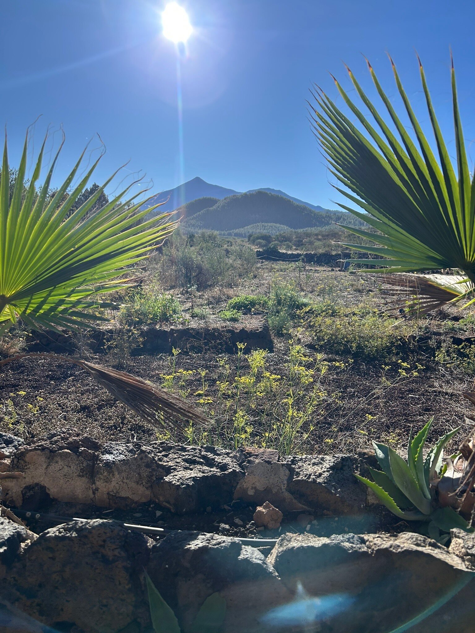 Hotel Rural Caserio los Partidos-官方