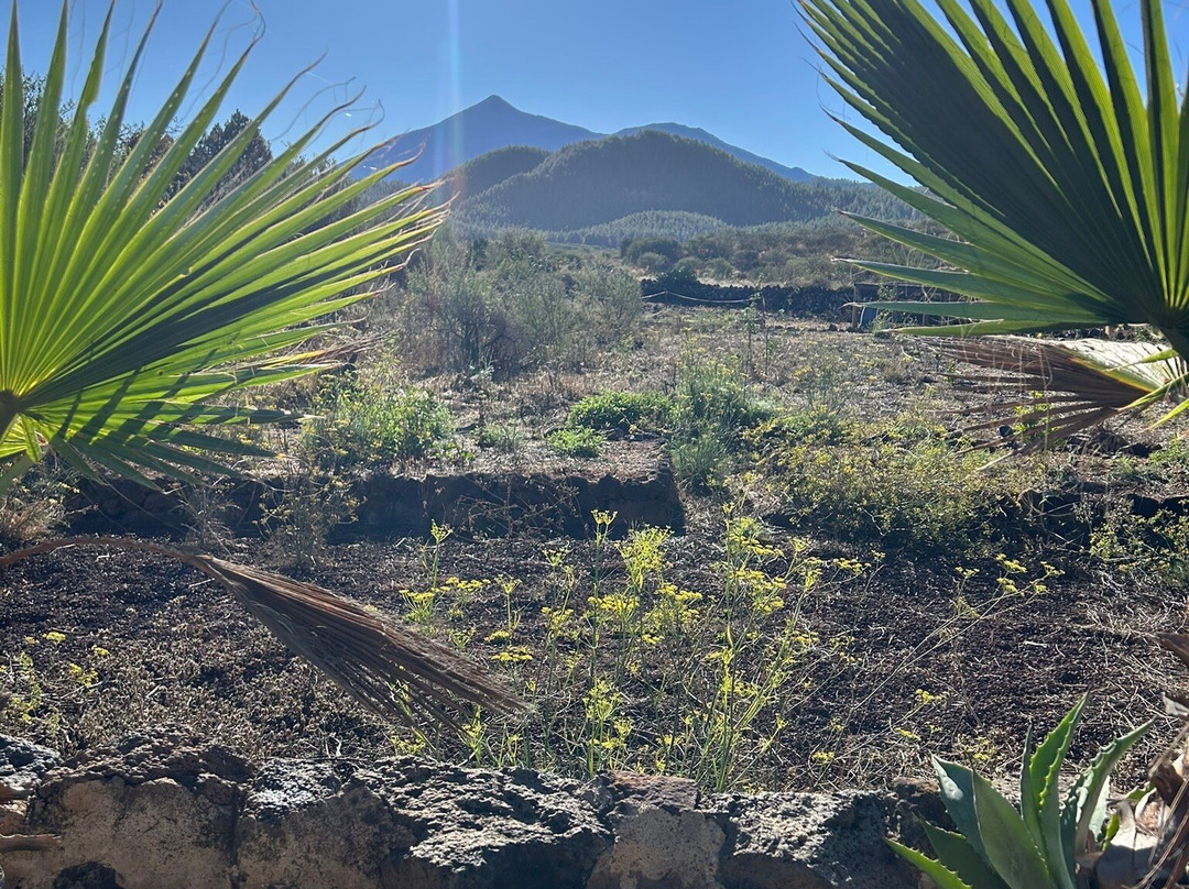 Hotel Rural Caserio los Partidos主图