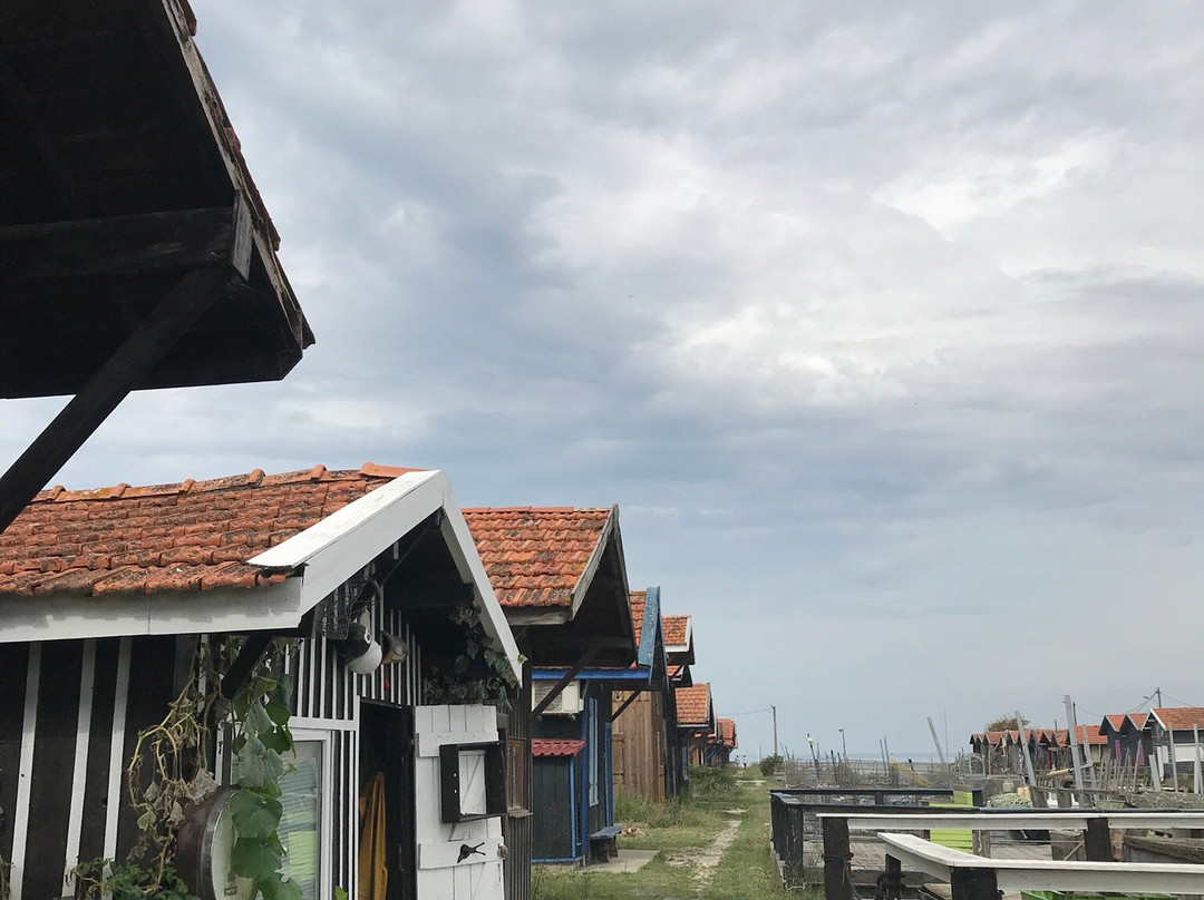 Bassin d'Arcachon-阿卡雄必去景点