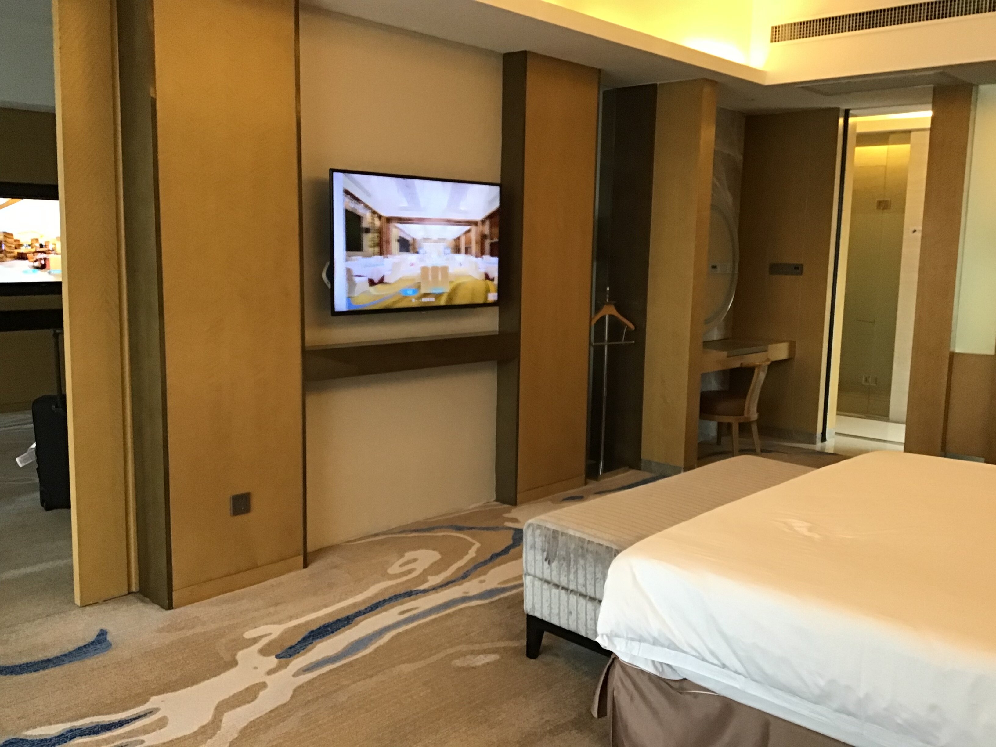 丽彩天禧酒店-客卧