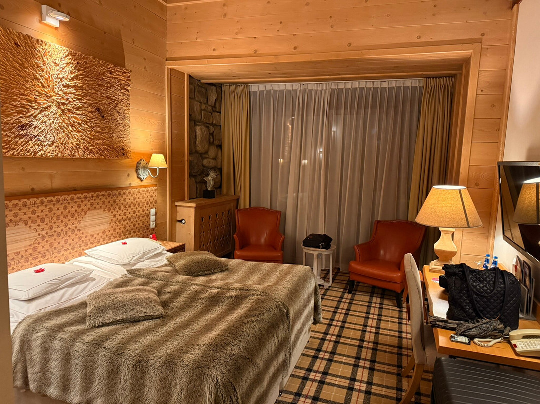Aries Hotel & Spa Zakopane主图
