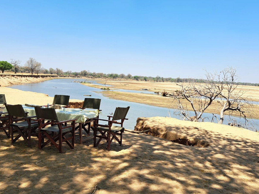 Njobvu Safari主图