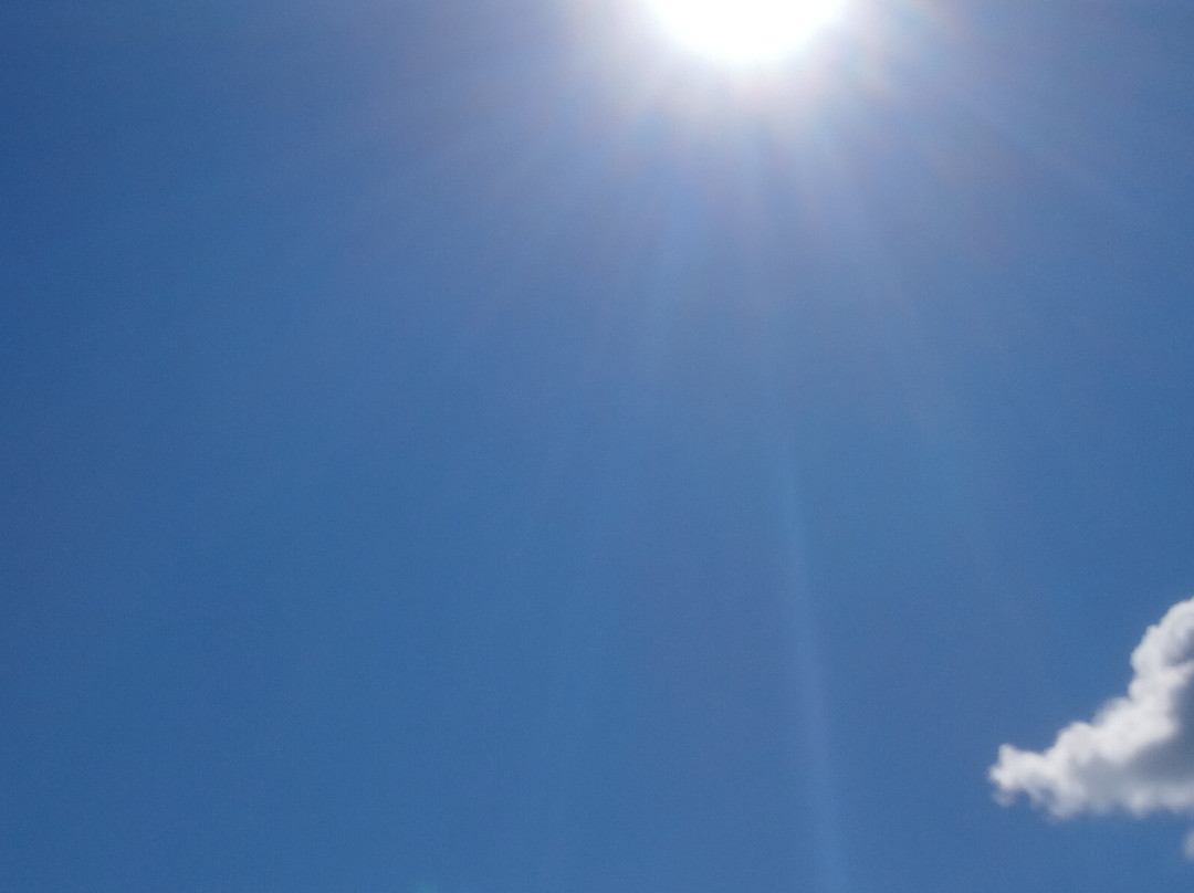 The Fountain Coffee Cocktails & More-Kavos必去景点