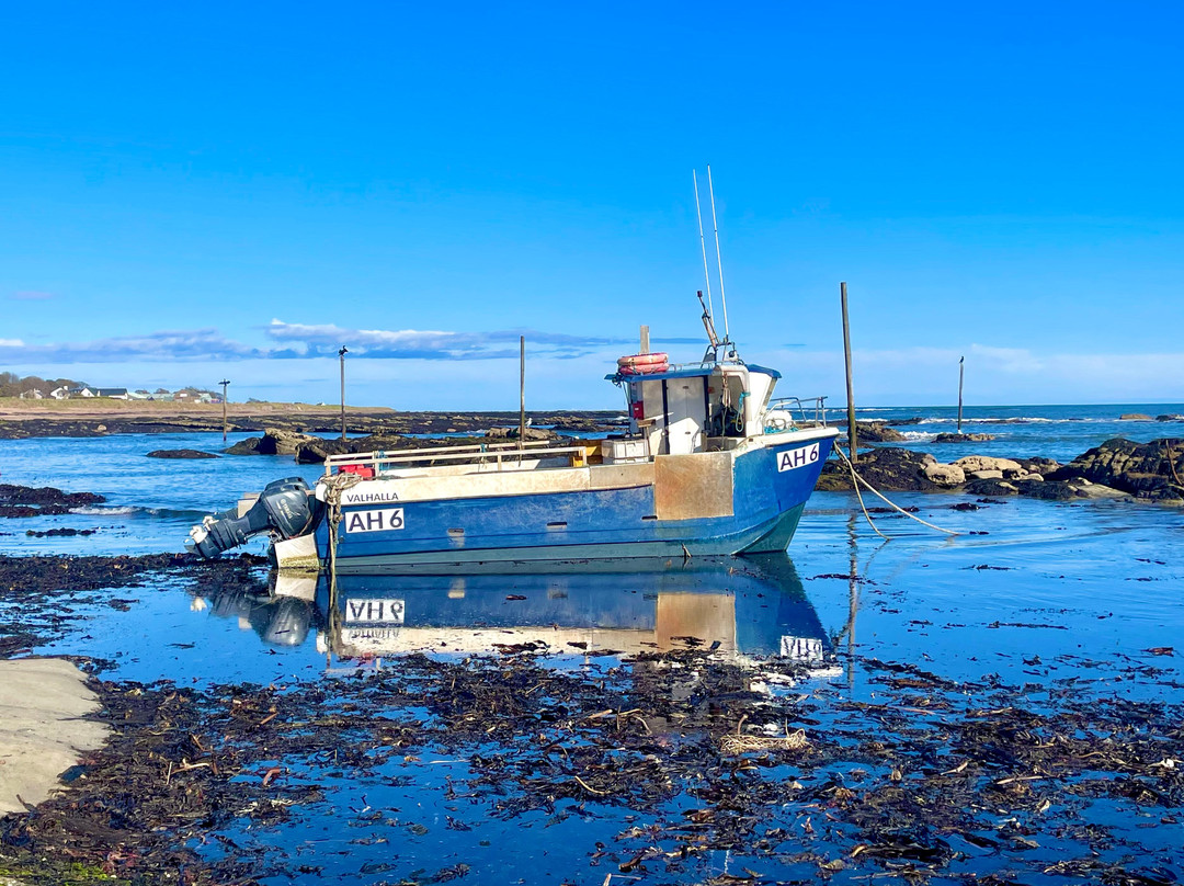 Carnoustie Beach-Carnoustie必去景点