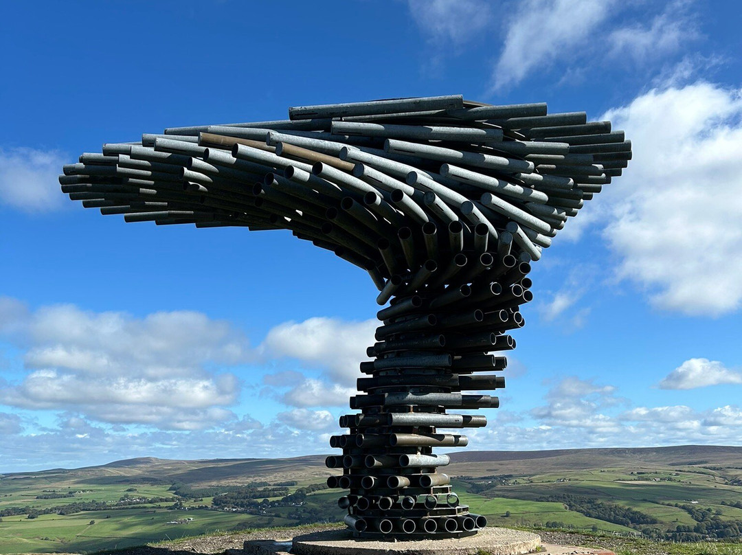 The Singing Ringing Tree-伯恩利必去景点