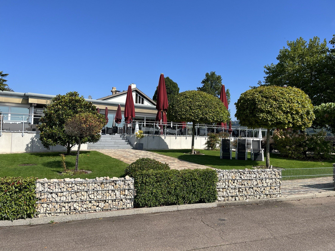 Köpfers Steinbuck主图