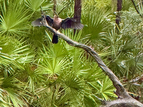 H2O Sports-希尔顿头岛必去景点