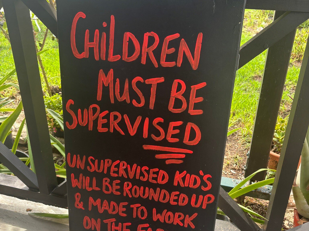 Iris Bar-阿雷克斯必去景点