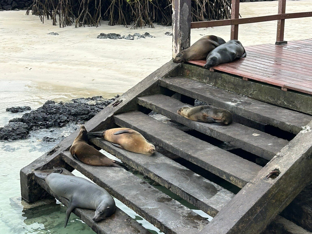 Isabela Island-伊莎贝拉岛必去景点