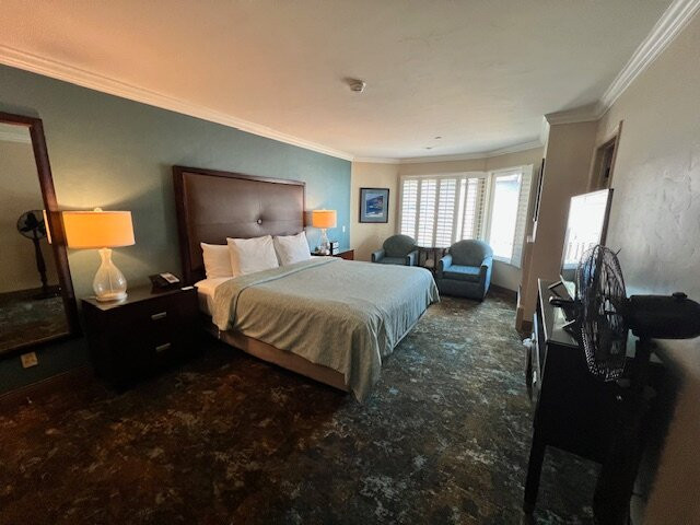 蓝海豚酒店主图