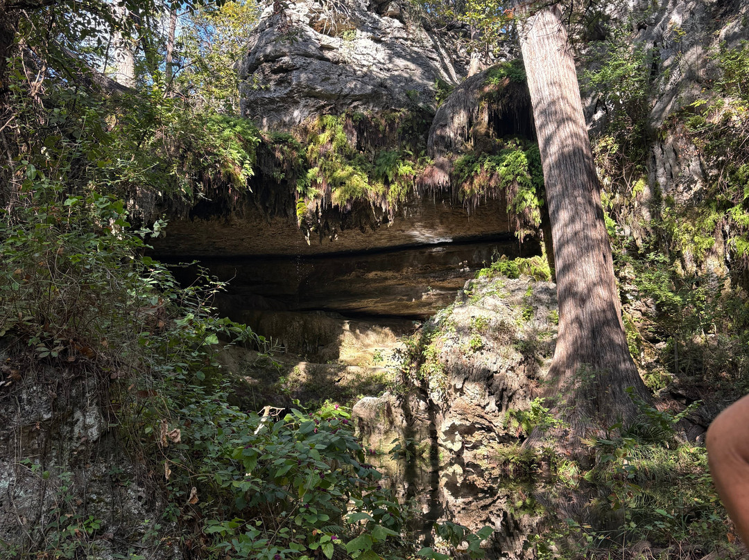 Westcave Outdoor Discovery Center-奥斯丁必去景点
