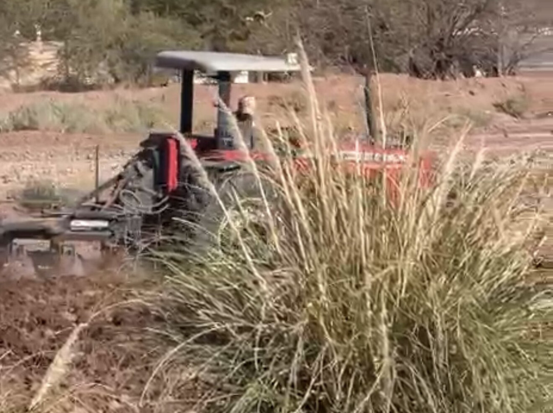 La Casa De Don Tomas主图