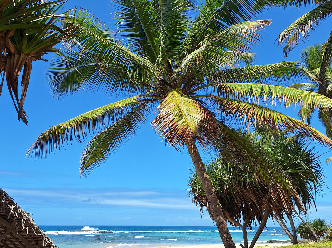 Piscine Naturelle d’Ambodiatafana-Nosy Boraha必去景点