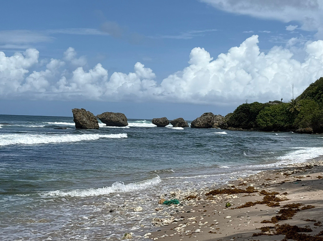 Bathsheba Beach-Bathsheba必去景点