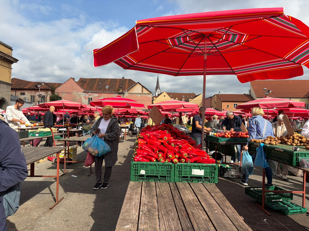 Free Spirit Tours-萨格勒布必去景点