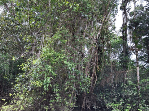 Vida Tours Ecuador-基多必去景点