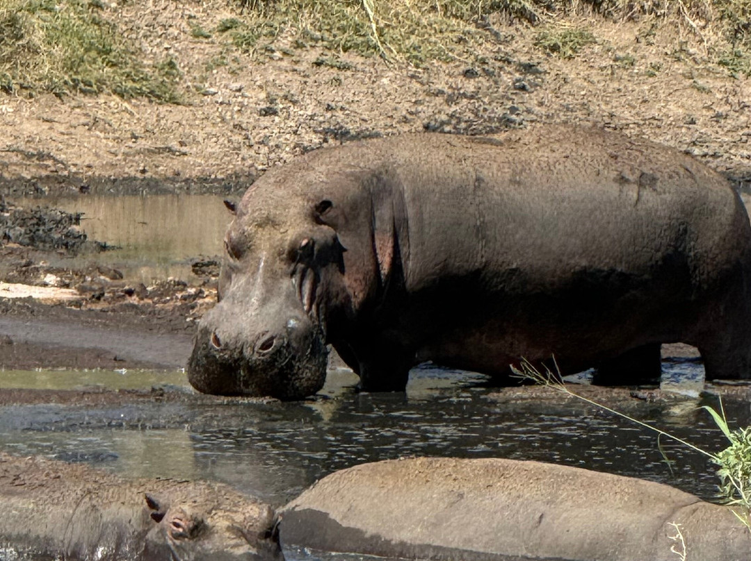 Travel Africa Safari Agency-Usa River必去景点