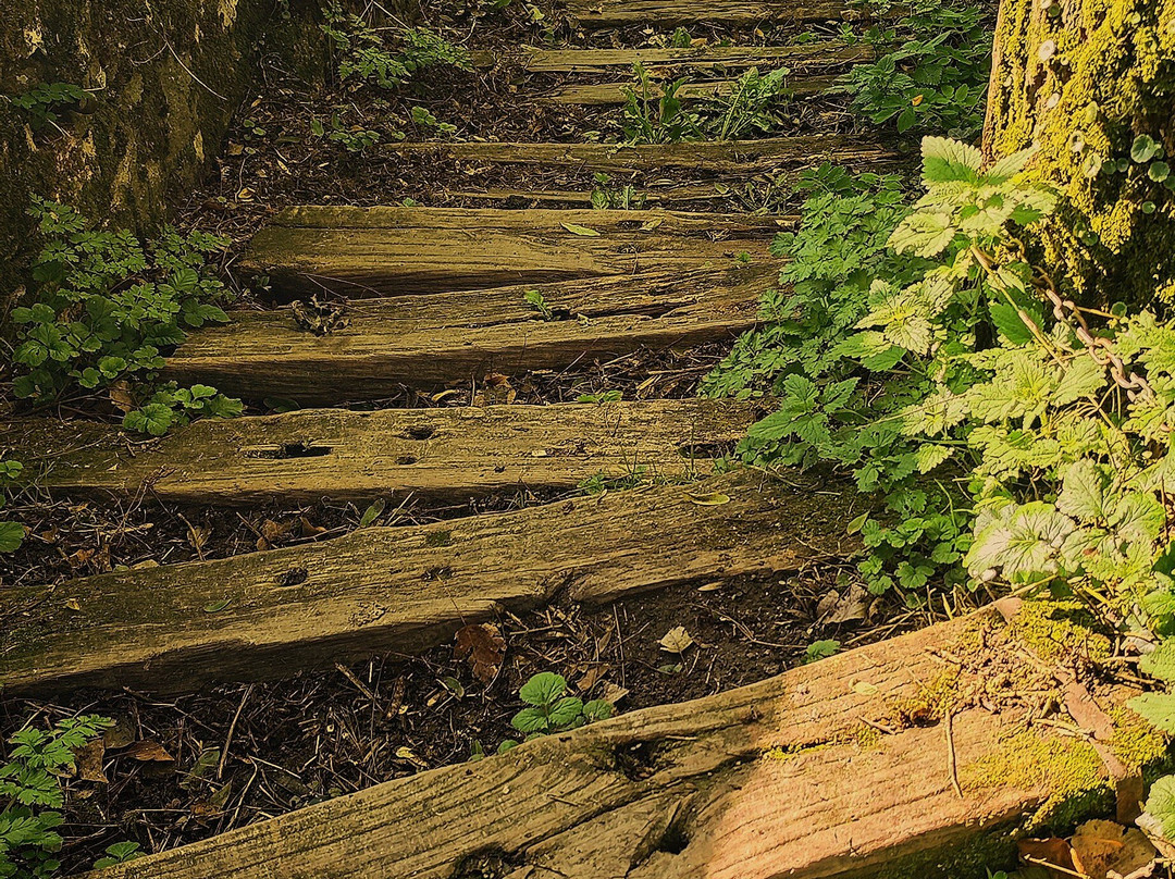 Passerelle Saint Jacques ou de la Minoterie-Chatillon-sur-Thouet必去景点