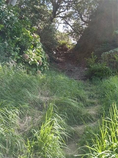 Onohama Beach-南伊豆町必去景点