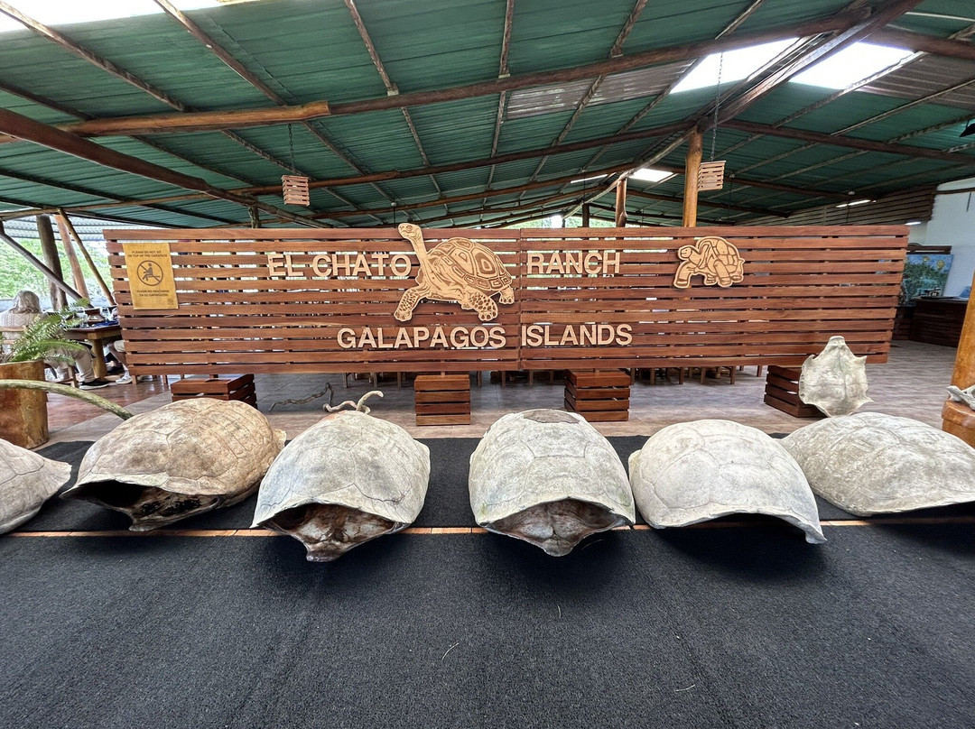 Reserva El Chato-阿约拉港必去景点