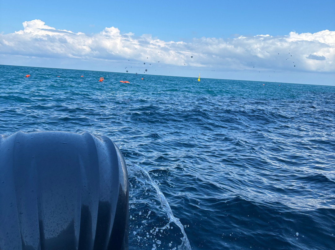 Dorino Gite in Barca-波利尼亚诺阿马雷必去景点