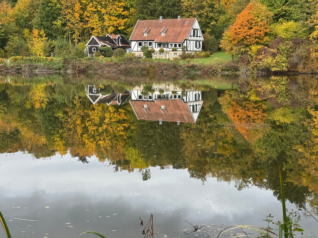 Externsteine-霍恩-巴特迈恩贝格必去景点
