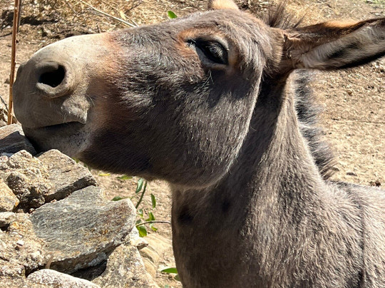 Naxos Hiking-纳克索斯必去景点