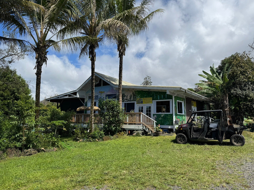 Buddha's Cup Kona Coffee And Tea Farm-哈陆亚洛亚必去景点