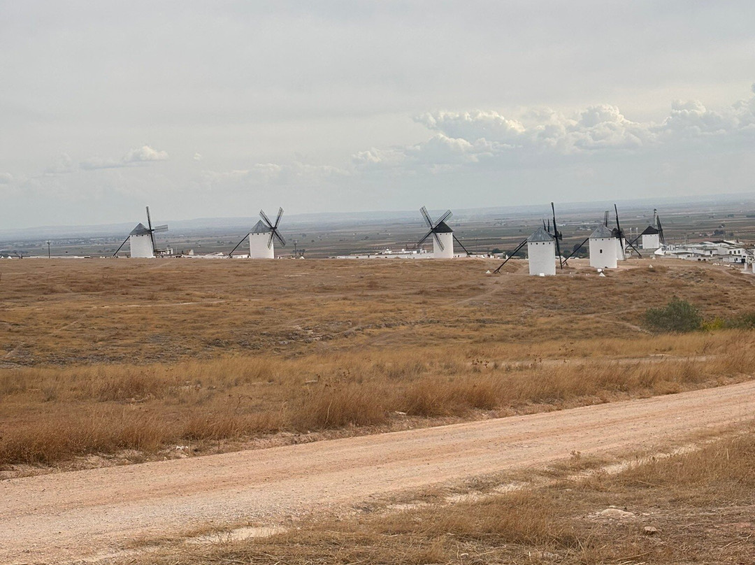 Molinos de Viento-Campo de Criptana必去景点