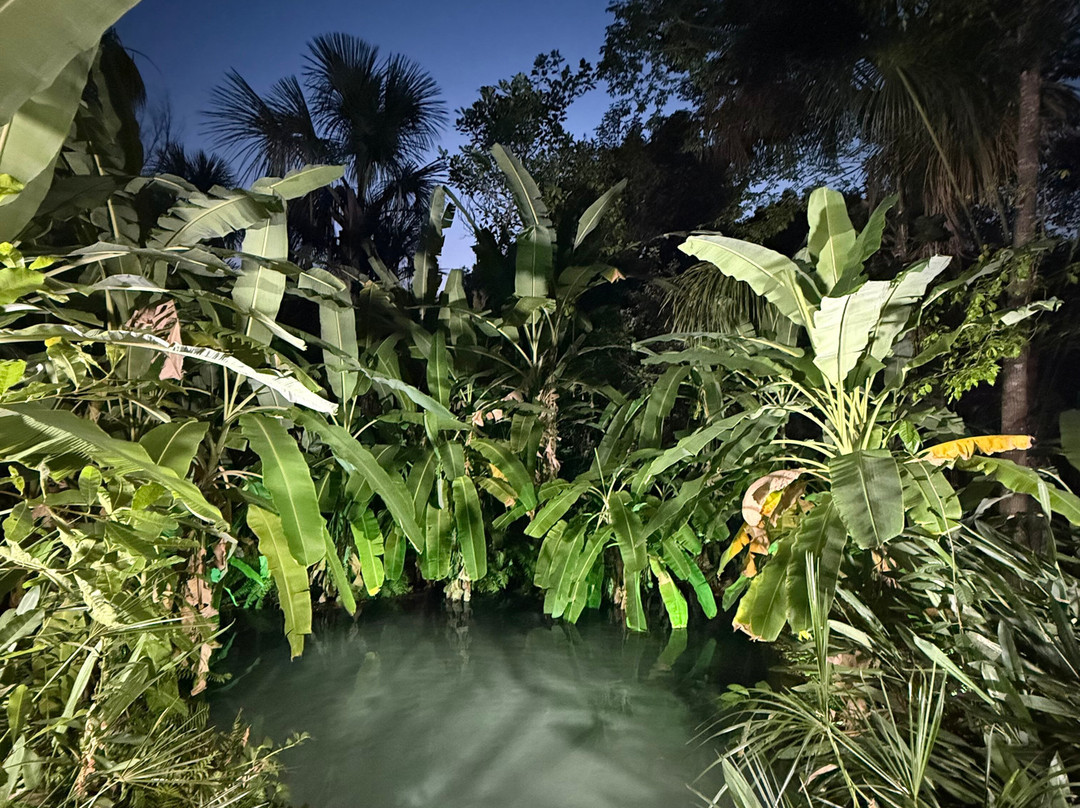 Buriti Adventure-Ponte Alta do Tocantins必去景点