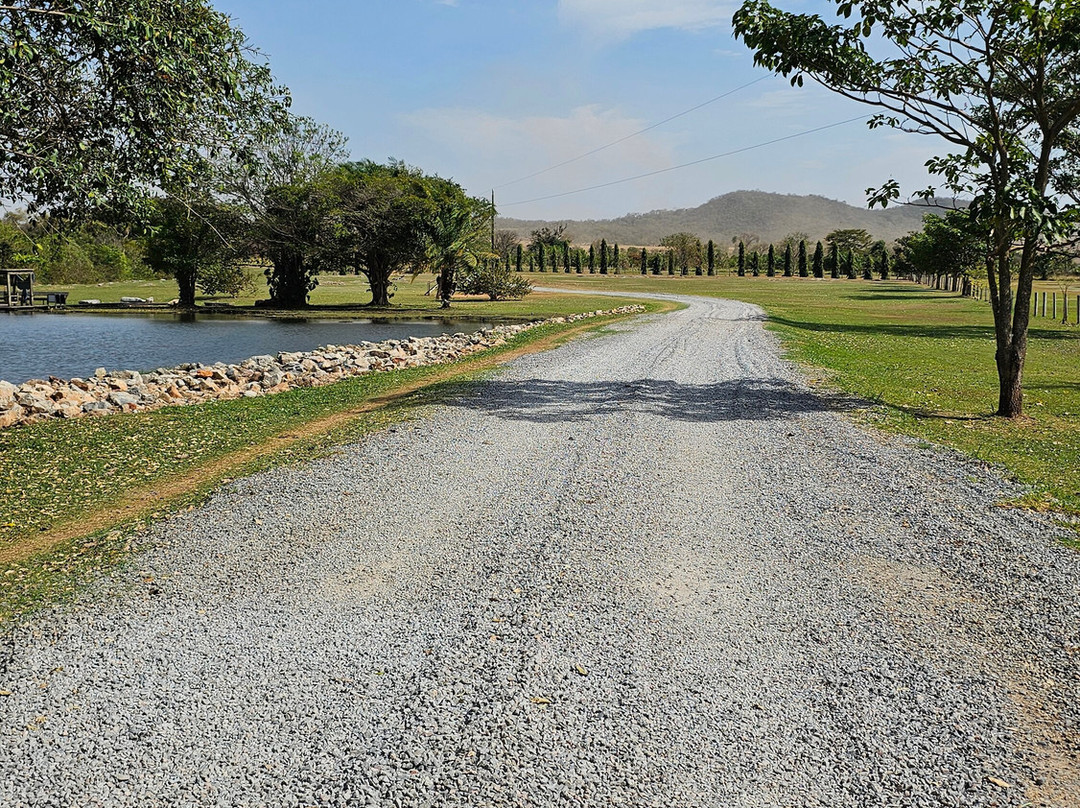 Fazenda Ceita Core-博尼图必去景点