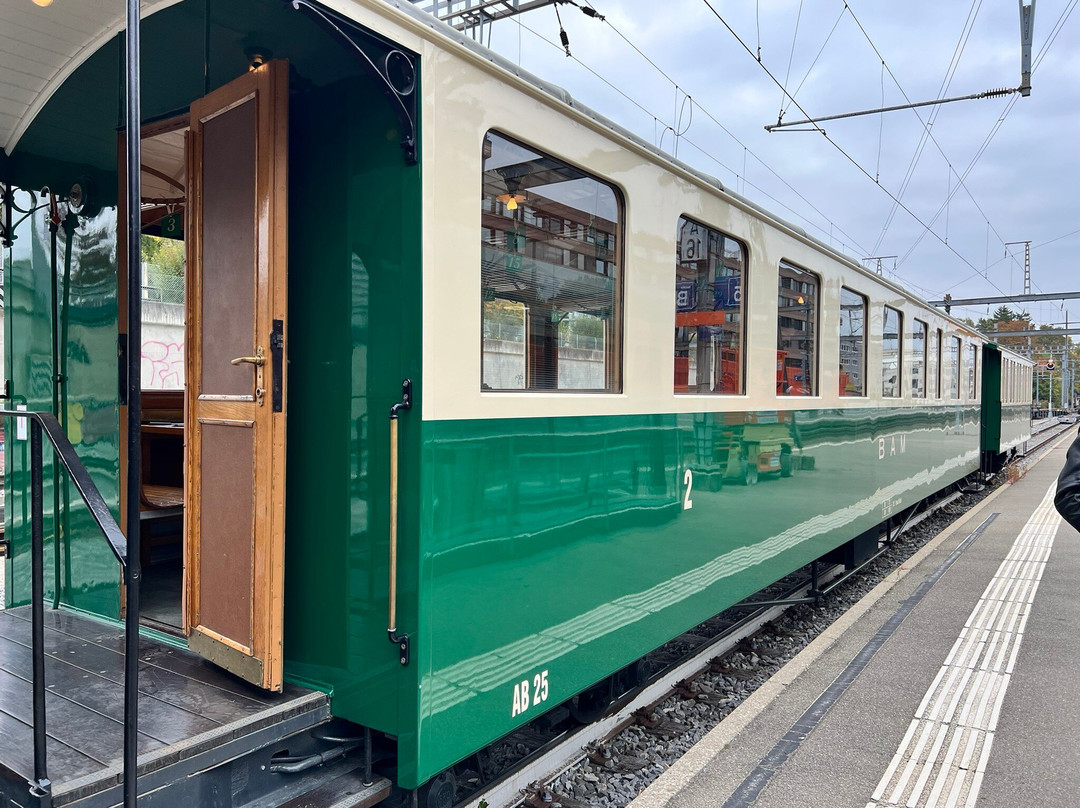Le train rétro BAM - La Voie des Sens-莫尔日必去景点