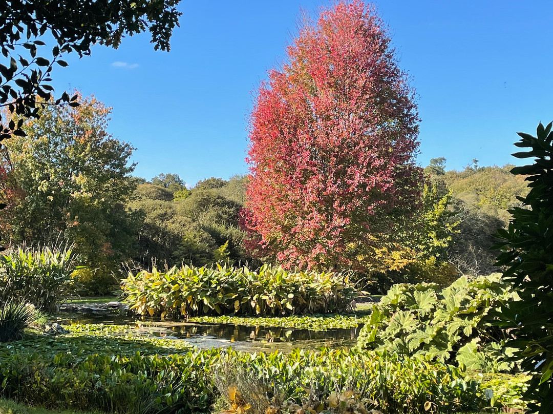 Parc Botanique de Cornouaille-孔布里必去景点