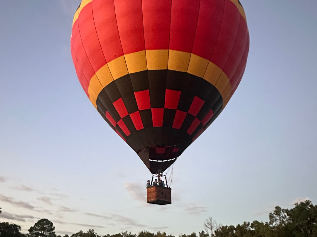 Bob's Balloons-奥兰多必去景点