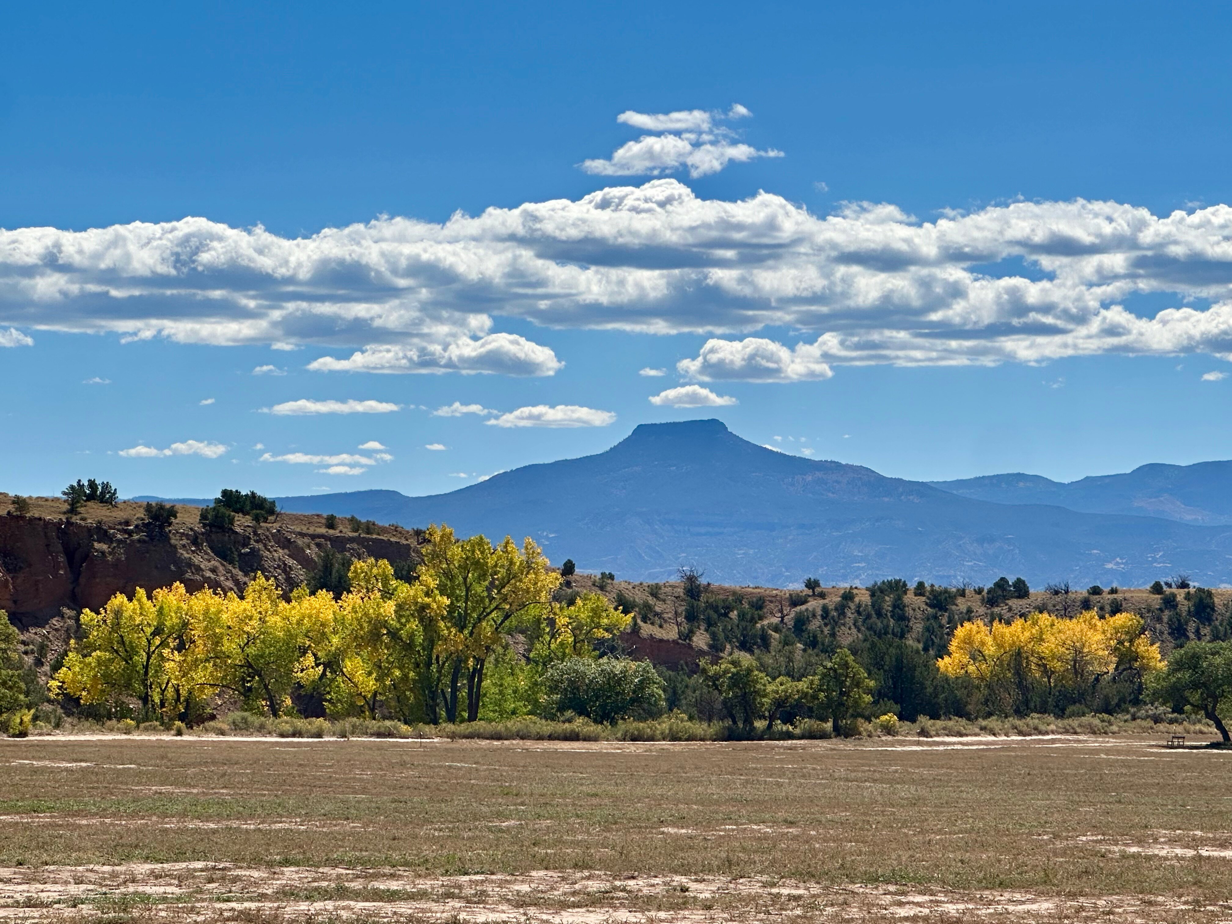 Inn of the Turquoise Bear-官方