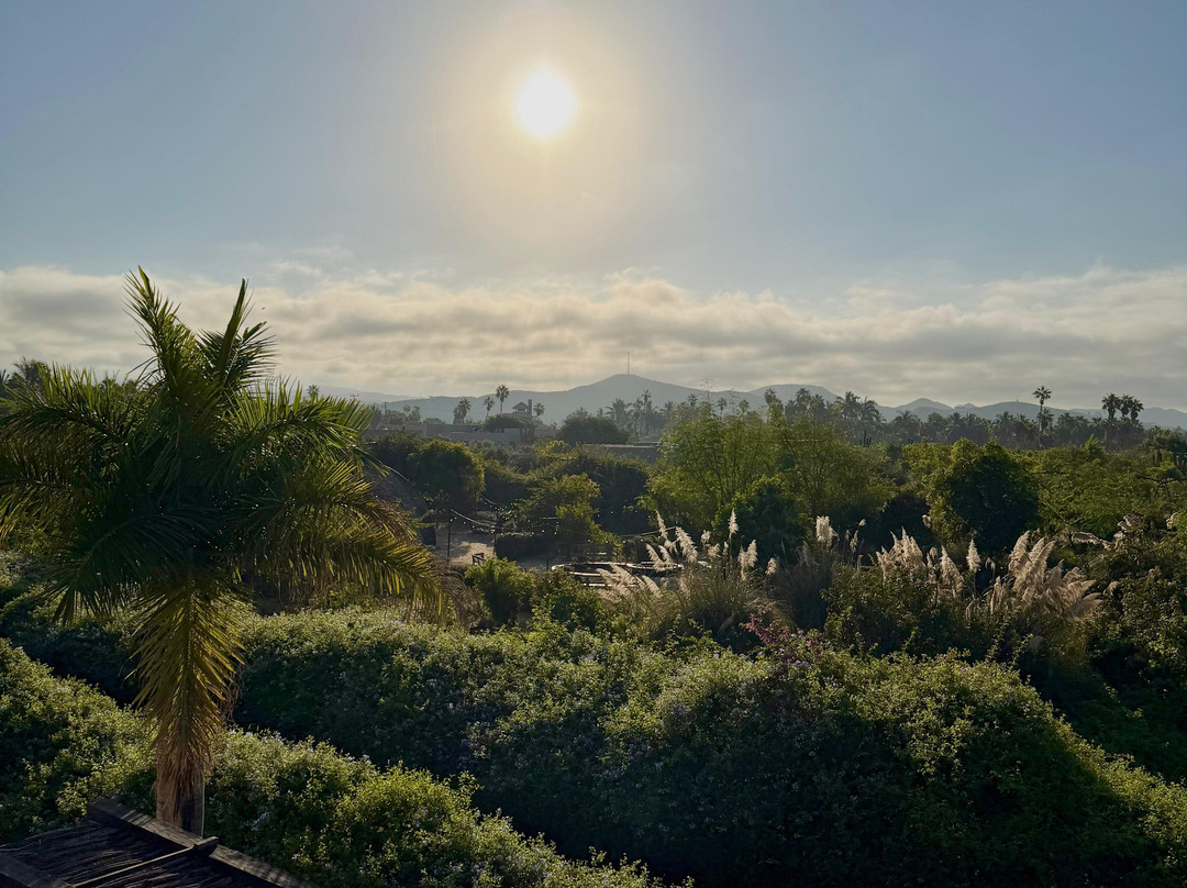 Botánica Spa At Kimpton Mas Olas-佩斯卡德罗必去景点