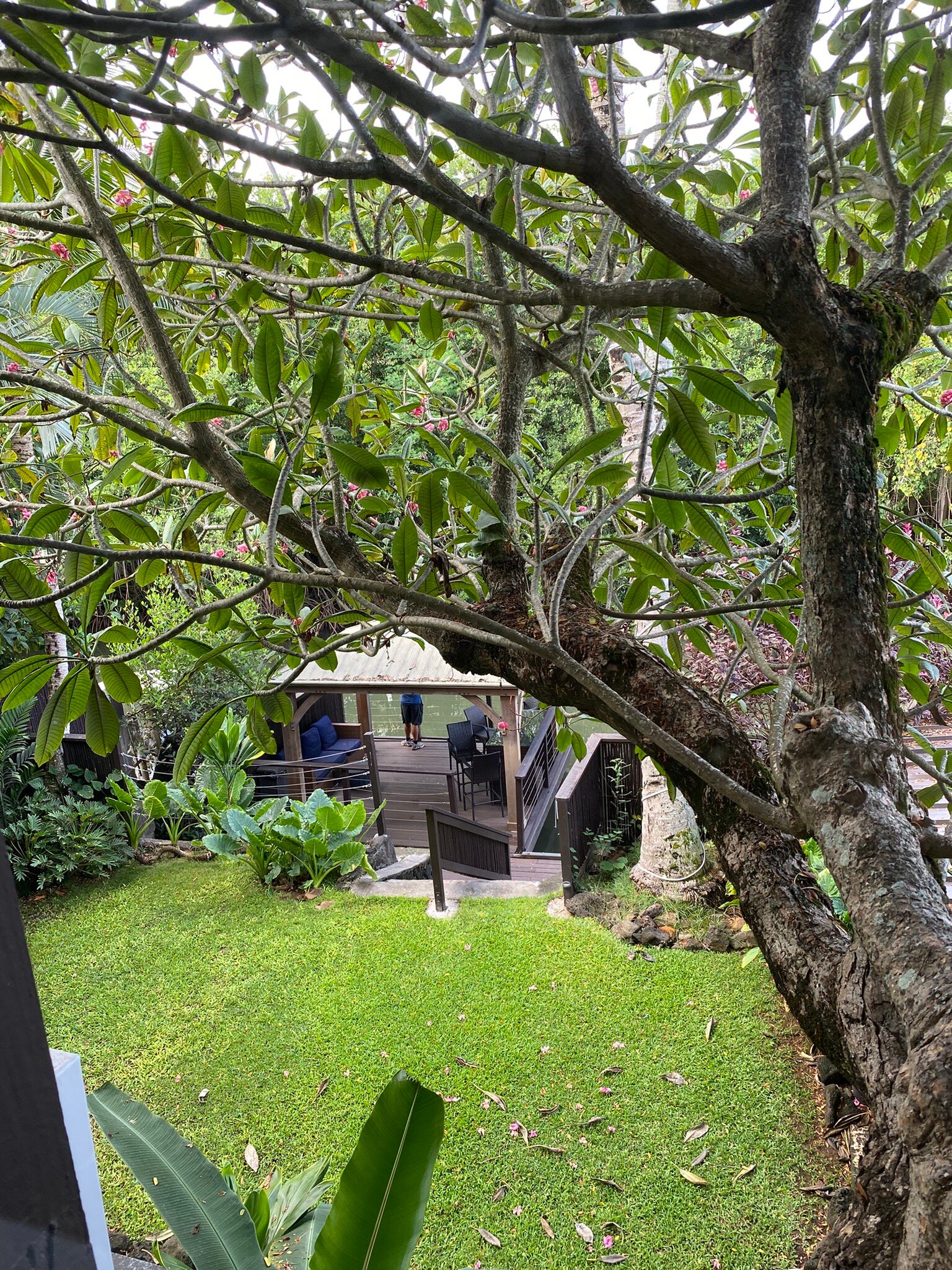 施埃德顺风村客栈-官方