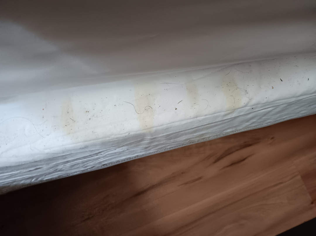 Quality Inn & Suites主图