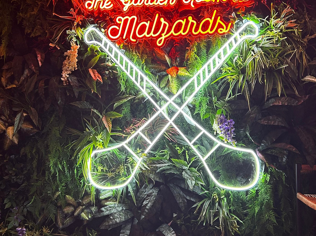 Malzards Pub-Stoneyford必去景点
