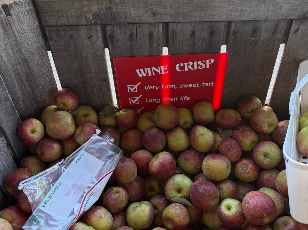 Grandad's Apples-亨德森维尔必去景点