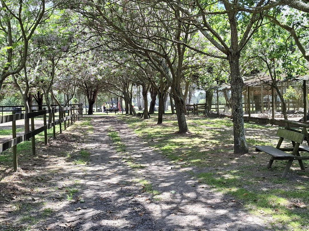 Reserva Natural do Cavalo do Sorraia-Alpiarca必去景点