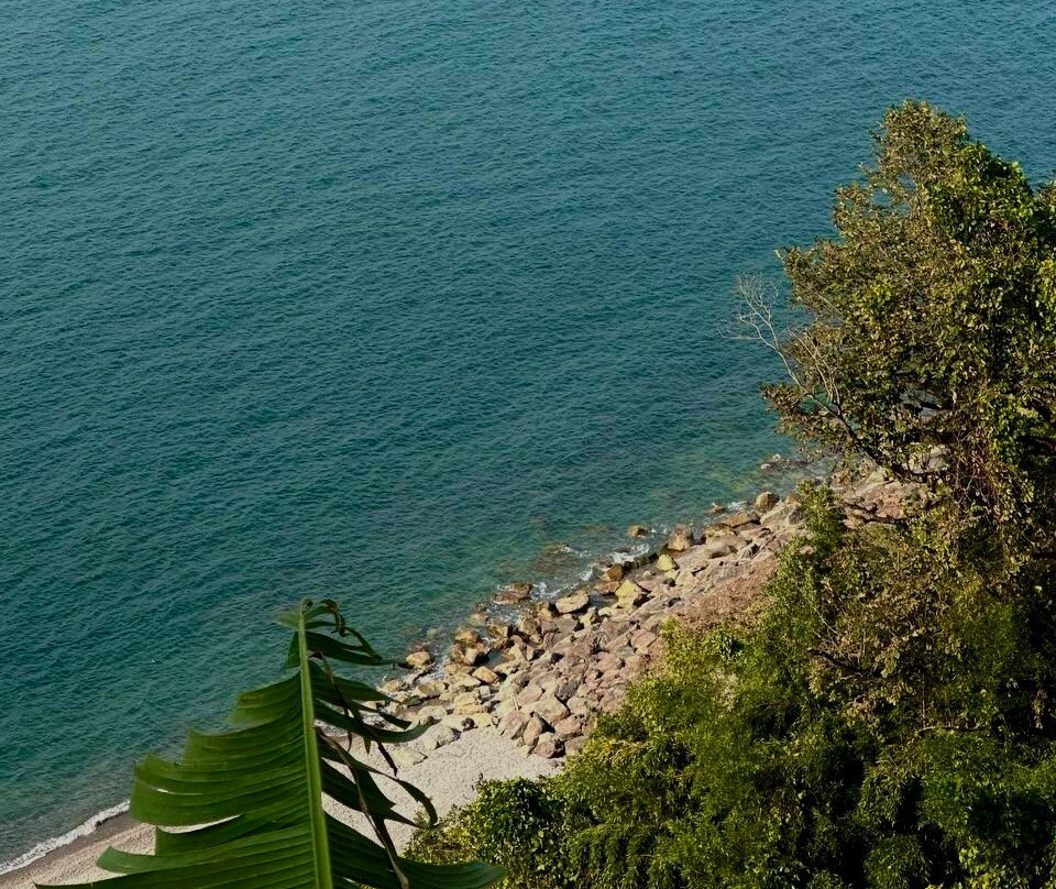 Batumi Botanical Gardens-巴统必去景点