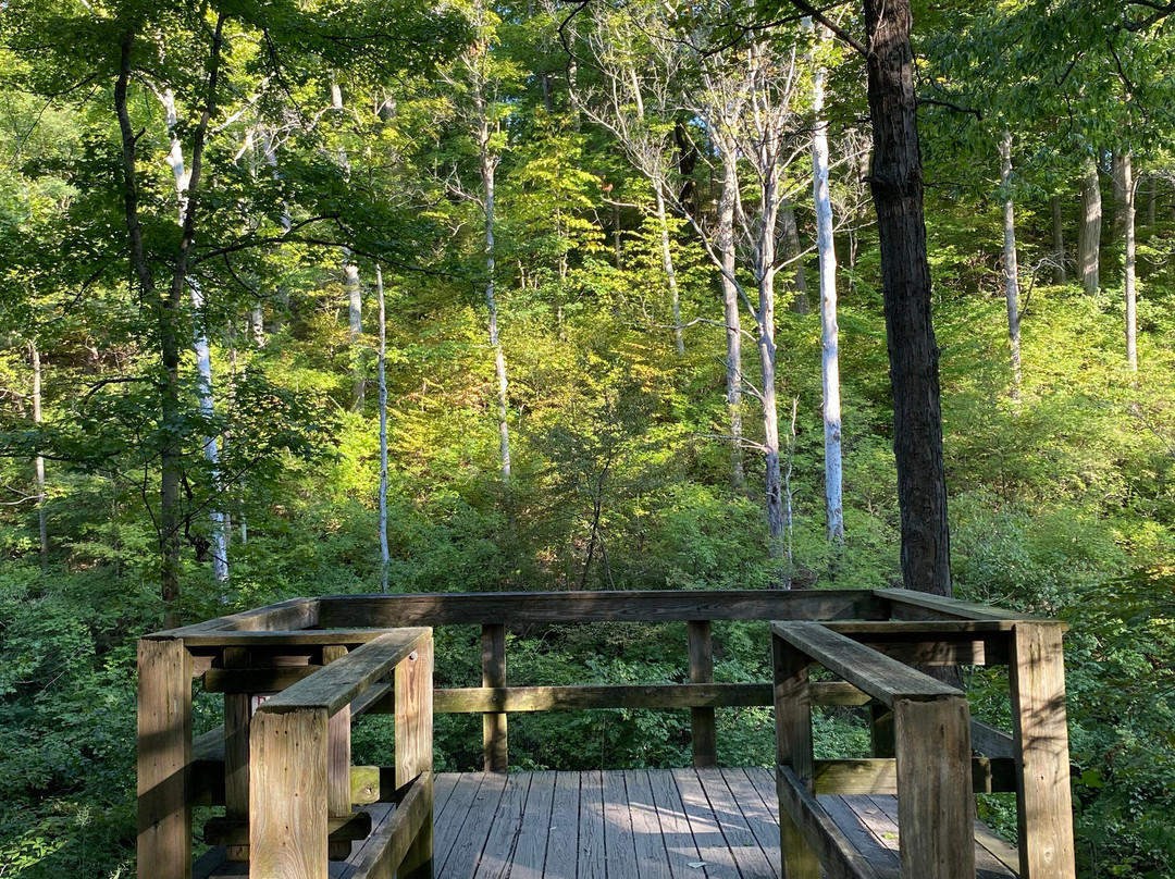 Sharon Woods-沙伦维尔必去景点