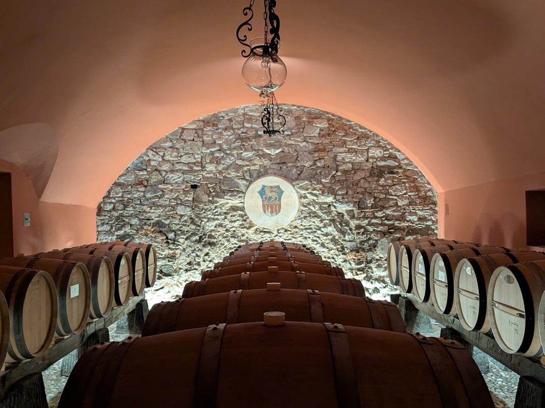 Tenuta Ruffino Poggio Casciano-巴尼奥阿里波利必去景点