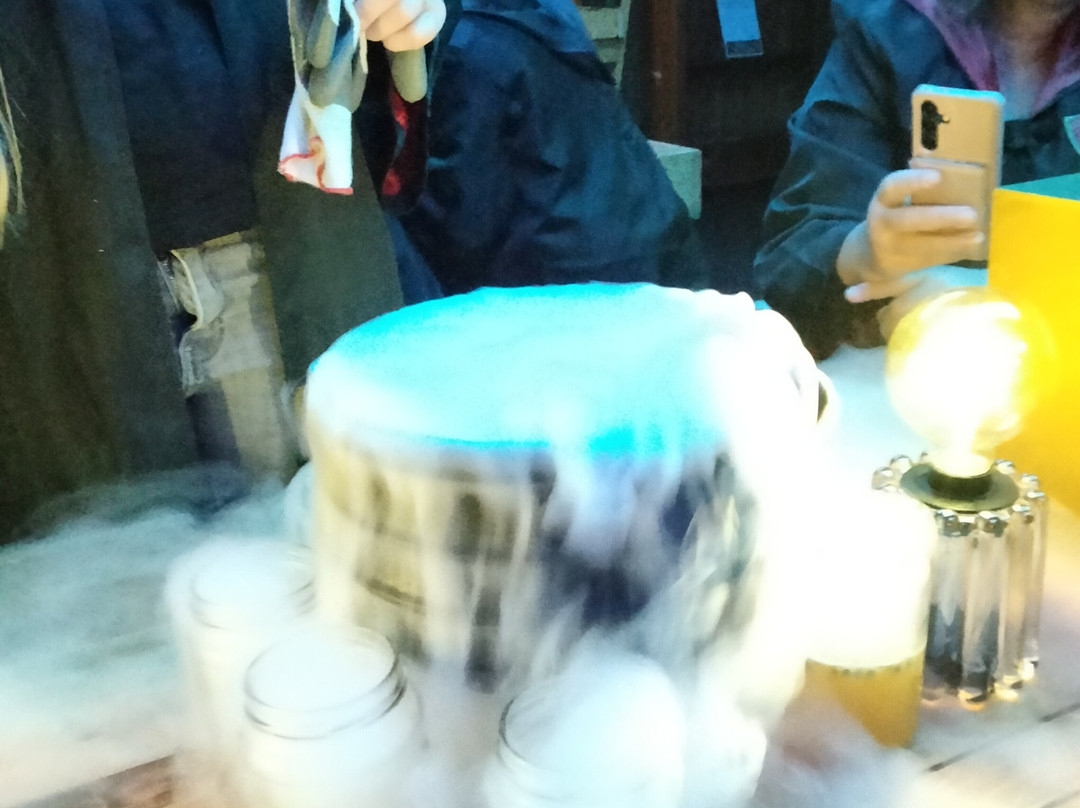 Elixer Room-海牙必去景点