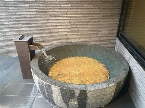 雾岛皇家酒店主图