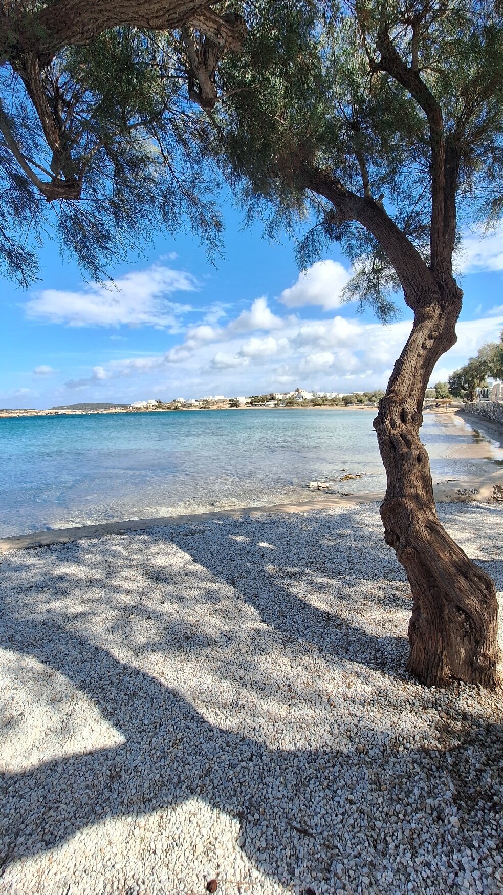 Kalypso Hotel Villas & Apartments-官方