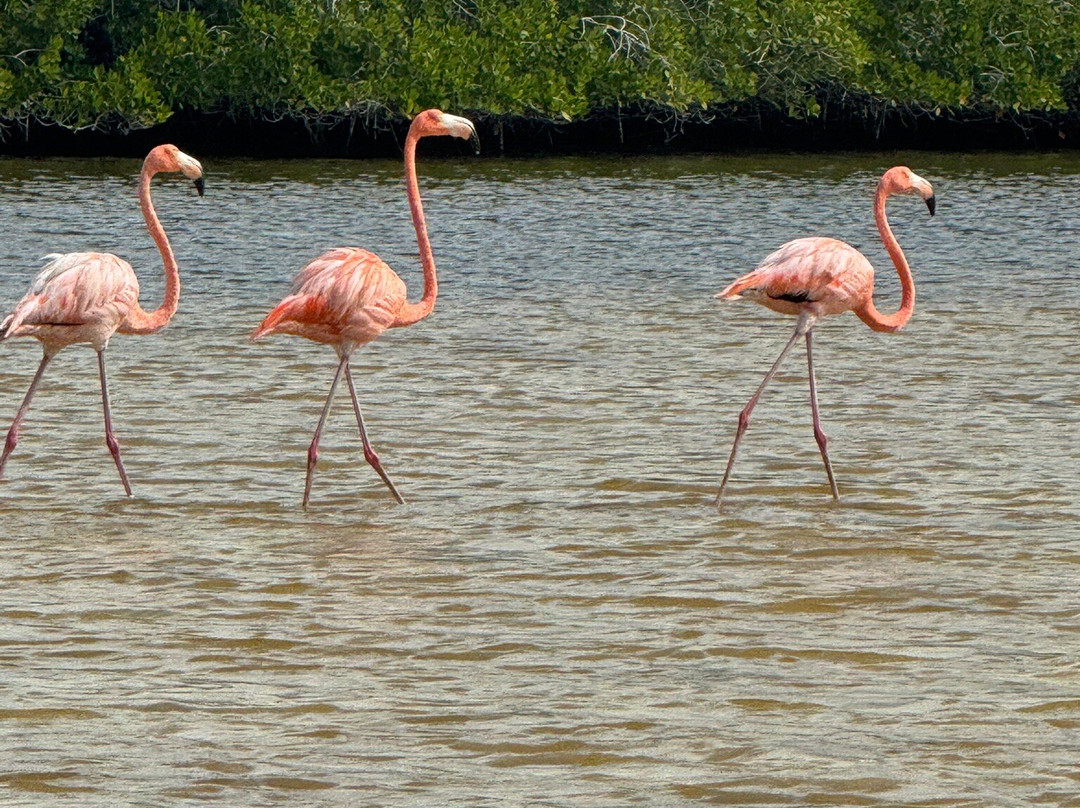 Taxi Personalizado-巴利亚多利德必去景点